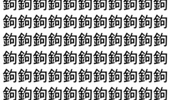 【脳トレ】「鉤」の中に紛れて1つ違う文字がある！？あなたは何秒で探し出せるかな？？【違う文字を探せ！】