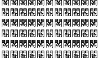 【脳トレ】「閣」の中に紛れて1つ違う文字がある!?あなたは何秒で探し出せるかな??【違う文字を探せ!】