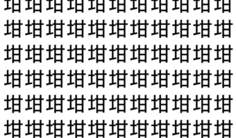 【脳トレ】「坩」の中に紛れて1つ違う文字がある！？あなたは何秒で探し出せるかな？？【違う文字を探せ！】