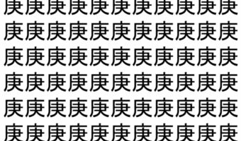 【脳トレ】「庚」の中に紛れて1つ違う文字がある!?あなたは何秒で探し出せるかな??【違う文字を探せ!】