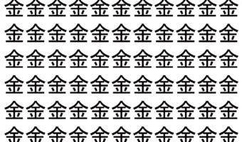 【脳トレ】「金」の中に紛れて1つ違う文字がある！？あなたは何秒で探し出せるかな？？【違う文字を探せ！】
