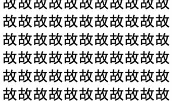 【脳トレ】「故」の中に紛れて1つ違う文字がある!?あなたは何秒で探し出せるかな??【違う文字を探せ!】