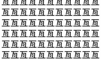 【脳トレ】「亙」の中に紛れて1つ違う文字がある!?あなたは何秒で探し出せるかな??【違う文字を探せ!】