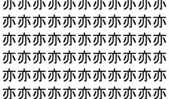 【脳トレ】「亦」の中に紛れて1つ違う文字がある!?あなたは何秒で探し出せるかな??【違う文字を探せ!】