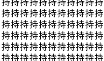 【脳トレ】「持」の中に紛れて1つ違う文字がある!?あなたは何秒で探し出せるかな??【違う文字を探せ!】