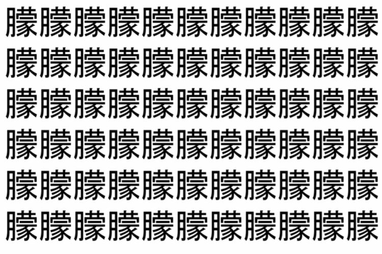 【脳トレ】「朦」の中に紛れて1つ違う文字がある！？あなたは何秒で探し出せるかな？？【違う文字を探せ！】