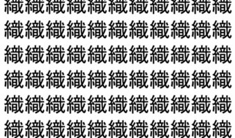 【脳トレ】「織」の中に紛れて1つ違う文字がある！？あなたは何秒で探し出せるかな？？【違う文字を探せ！】