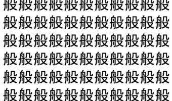 【脳トレ】「般」の中に紛れて1つ違う文字がある!?あなたは何秒で探し出せるかな??【違う文字を探せ!】