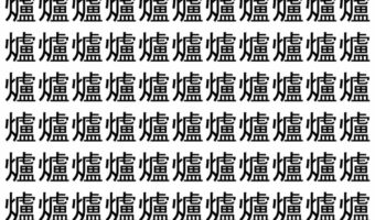 【脳トレ】「爐」の中に紛れて1つ違う文字がある!?あなたは何秒で探し出せるかな??【違う文字を探せ!】