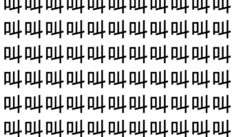 【脳トレ】「叫」の中に紛れて1つ違う文字がある！？あなたは何秒で探し出せるかな？？【違う文字を探せ！】