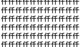 【脳トレ】「仟」の中に紛れて1つ違う文字がある！？あなたは何秒で探し出せるかな？？【違う文字を探せ！】