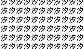 【脳トレ】「汐」の中に紛れて1つ違う文字がある!?あなたは何秒で探し出せるかな??【違う文字を探せ!】