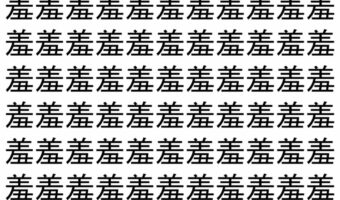 【脳トレ】「羞」の中に紛れて1つ違う文字がある!?あなたは何秒で探し出せるかな??【違う文字を探せ!】