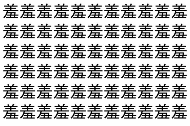 【脳トレ】「羞」の中に紛れて1つ違う文字がある！？あなたは何秒で探し出せるかな？？【違う文字を探せ！】