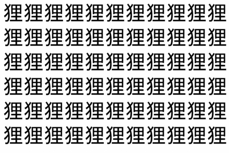 【脳トレ】「狸」の中に紛れて1つ違う文字がある！？あなたは何秒で探し出せるかな？？【違う文字を探せ！】