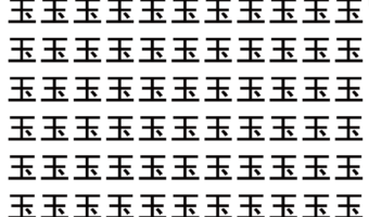 【脳トレ】「玉」の中に紛れて1つ違う文字がある！？あなたは何秒で探し出せるかな？？【違う文字を探せ！】