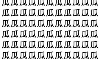【脳トレ】「瓜」の中に紛れて1つ違う文字がある!?あなたは何秒で探し出せるかな??【違う文字を探せ!】