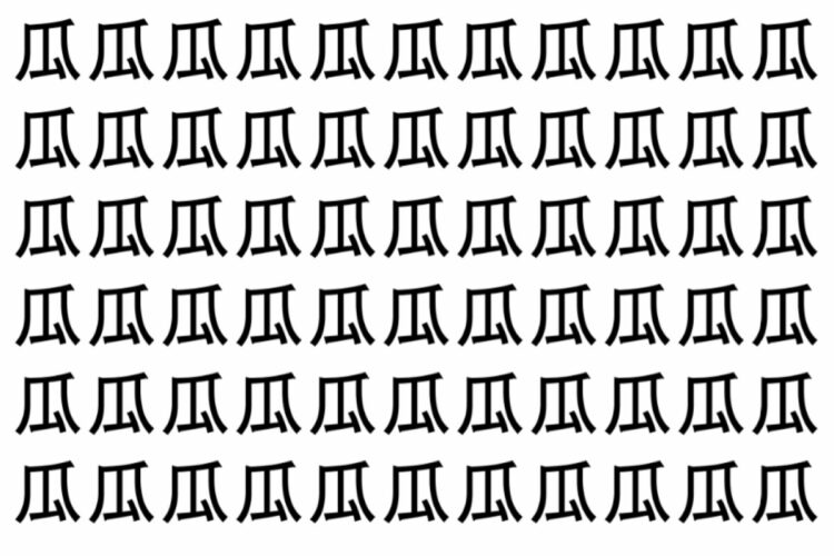 【脳トレ】「瓜」の中に紛れて1つ違う文字がある！？あなたは何秒で探し出せるかな？？【違う文字を探せ！】