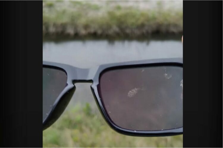 偏光サングラスが教えてくれた驚愕の事実。穏やかで平和な小川と思ったら・・川の中に！！【アメリカ・動画】