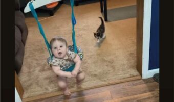 とってもかわいいはじめまして。赤ちゃんの足元に寄ってきた子猫の行動にほっこり【アメリカ・動画】
