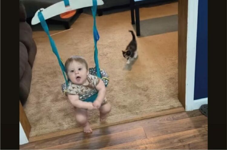 とってもかわいいはじめまして。赤ちゃんの足元に寄ってきた子猫の行動にほっこり【アメリカ・動画】