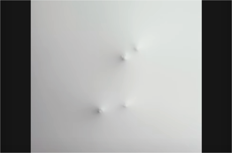 吊り天井の裏に何かいる！？かわいい肉球と愛らしい鳴き声が確認できますが・・その正体とは？