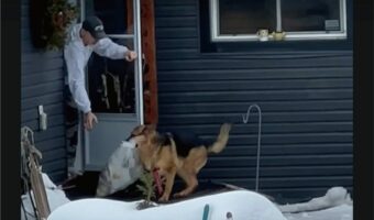 ゴミ出しを手伝ってくれる賢くて優しい愛犬。だけどみんな戸惑いうまさかのハプニングが！！【海外・動画】