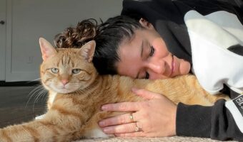 猫の背中に抱き着いて幸せなもふもふタイムと思ったら・・。猫はだっこの気分じゃなかったみたい【アメリカ・動画】