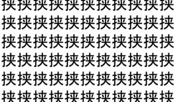 【脳トレ】「挟」の中に紛れて1つ違う文字がある!?あなたは何秒で探し出せるかな??【違う文字を探せ!】