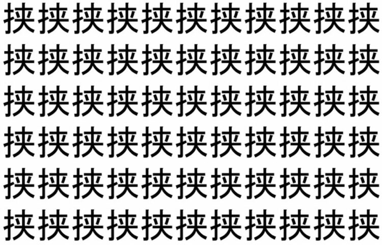 【脳トレ】「挟」の中に紛れて1つ違う文字がある！？あなたは何秒で探し出せるかな？？【違う文字を探せ！】
