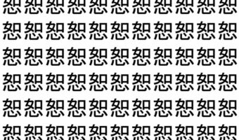 【脳トレ】「恕」の中に紛れて1つ違う文字がある！？あなたは何秒で探し出せるかな？？【違う文字を探せ！】