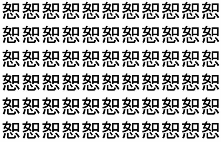 【脳トレ】「恕」の中に紛れて1つ違う文字がある！？あなたは何秒で探し出せるかな？？【違う文字を探せ！】