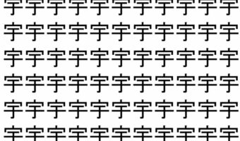 【脳トレ】「宇」の中に紛れて1つ違う文字がある!?あなたは何秒で探し出せるかな??【違う文字を探せ!】