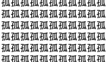 【脳トレ】「孤」の中に紛れて1つ違う文字がある!?あなたは何秒で探し出せるかな??【違う文字を探せ!】