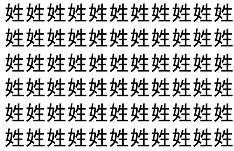 【脳トレ】「姓」の中に紛れて1つ違う文字がある！？あなたは何秒で探し出せるかな？？【違う文字を探せ！】