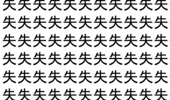 【脳トレ】「失」の中に紛れて1つ違う文字がある!?あなたは何秒で探し出せるかな??【違う文字を探せ!】