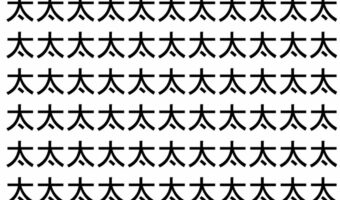 【脳トレ】「太」の中に紛れて1つ違う文字がある!?あなたは何秒で探し出せるかな??【違う文字を探せ!】
