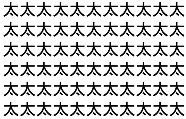 【脳トレ】「太」の中に紛れて1つ違う文字がある！？あなたは何秒で探し出せるかな？？【違う文字を探せ！】