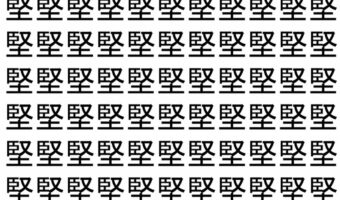 【脳トレ】「堅」の中に紛れて1つ違う文字がある！？あなたは何秒で探し出せるかな？？【違う文字を探せ！】