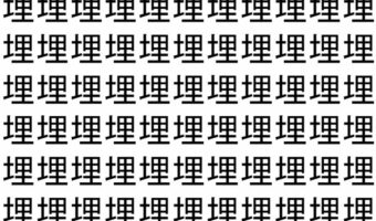 【脳トレ】「埋」の中に紛れて1つ違う文字がある！？あなたは何秒で探し出せるかな？？【違う文字を探せ！】