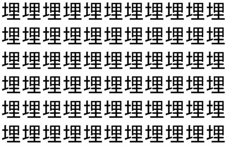 【脳トレ】「埋」の中に紛れて1つ違う文字がある！？あなたは何秒で探し出せるかな？？【違う文字を探せ！】