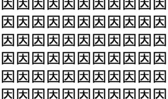 【脳トレ】「因」の中に紛れて1つ違う文字がある!?あなたは何秒で探し出せるかな??【違う文字を探せ!】