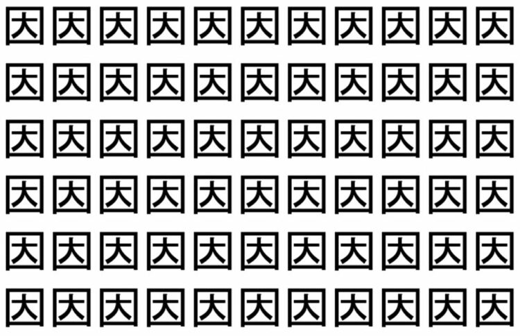 【脳トレ】「因」の中に紛れて1つ違う文字がある！？あなたは何秒で探し出せるかな？？【違う文字を探せ！】