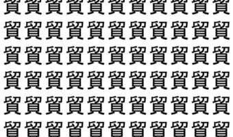 【脳トレ】「貿」の中に紛れて1つ違う文字がある！？あなたは何秒で探し出せるかな？？【違う文字を探せ！】