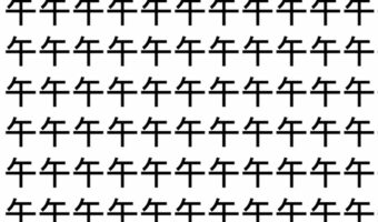 【脳トレ】「午」の中に紛れて1つ違う文字がある！？あなたは何秒で探し出せるかな？？【違う文字を探せ！】