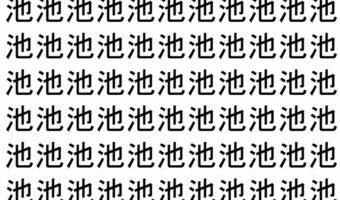 【脳トレ】「池」の中に紛れて1つ違う文字がある！？あなたは何秒で探し出せるかな？？【違う文字を探せ！】