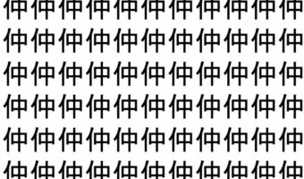 【脳トレ】「仲」の中に紛れて1つ違う文字がある!?あなたは何秒で探し出せるかな??【違う文字を探せ!】
