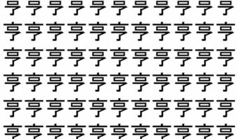 【脳トレ】「亨」の中に紛れて1つ違う文字がある!?あなたは何秒で探し出せるかな??【違う文字を探せ!】