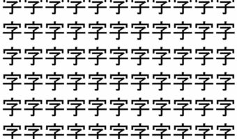 【脳トレ】「字」の中に紛れて1つ違う文字がある!?あなたは何秒で探し出せるかな??【違う文字を探せ!】