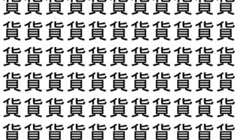 【脳トレ】「貨」の中に紛れて1つ違う文字がある!?あなたは何秒で探し出せるかな??【違う文字を探せ!】